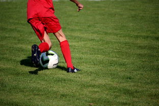 ac米兰球队官网-NBA球队青训体系建设与人才储备，nba青年队